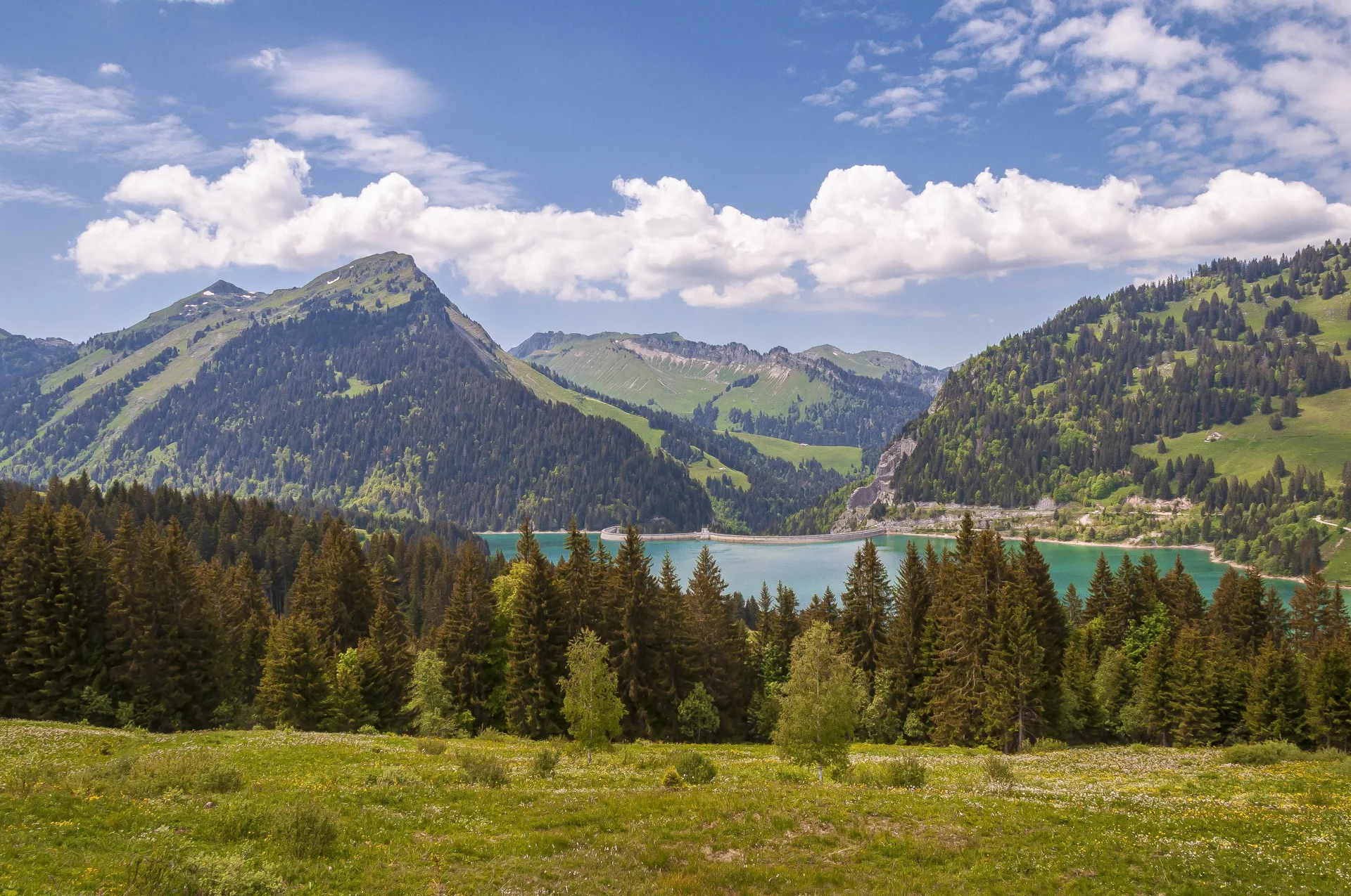 Swiss natural landscape