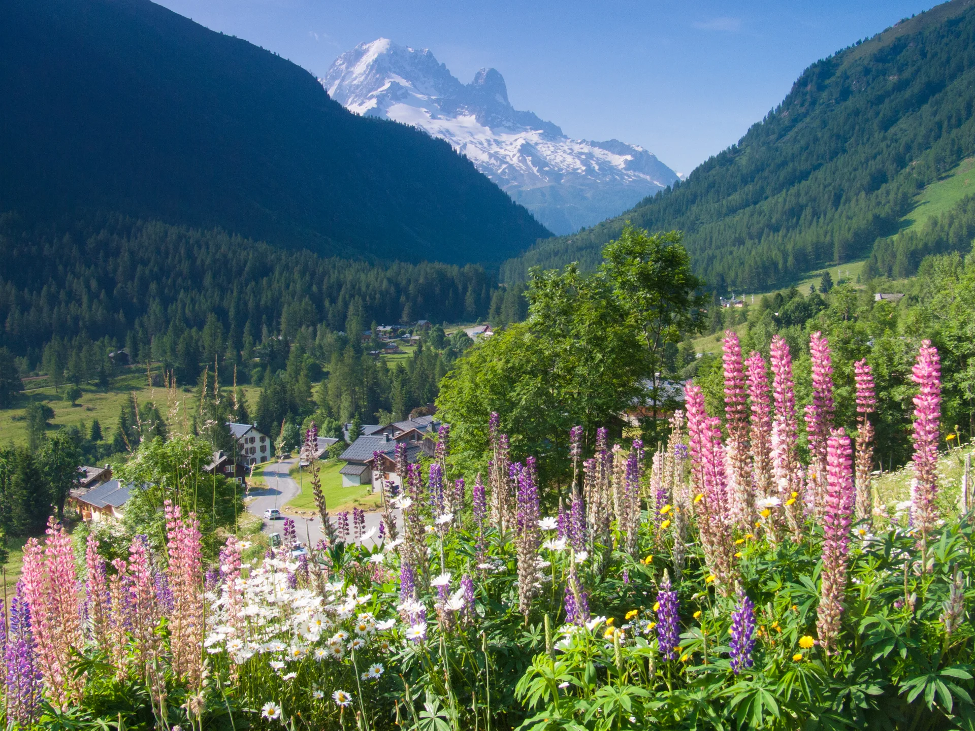 Swiss natural landscape